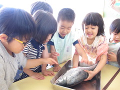 食育（地産地消）写真1